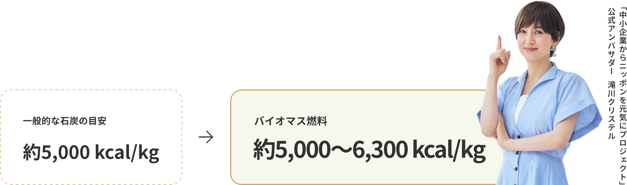 一般的な石炭の目安「約5,000 kcal/kg」→ バイオマス燃料「約5,000〜6,300 kcal/kg」
