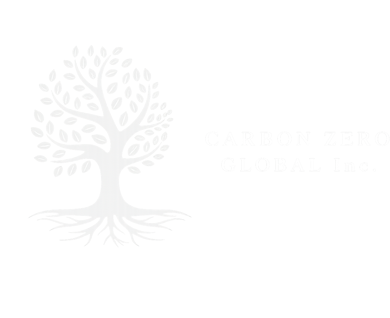 Carbon ZERO Global